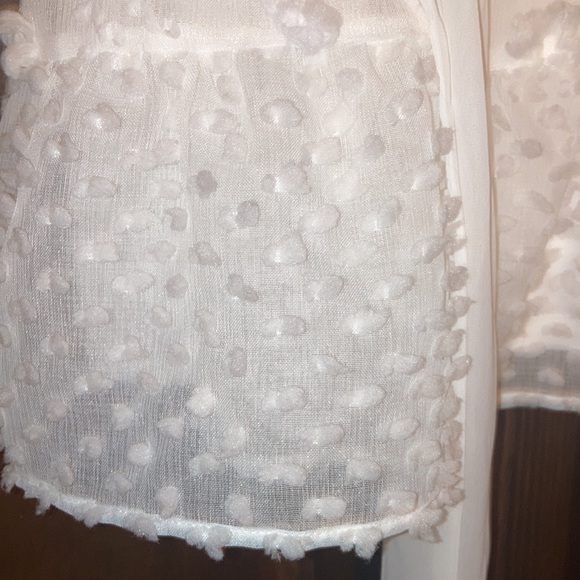 NWT Size Large, White, Flying Tomato, Swiss Dot, A Line Dress - Picture 8 of 9